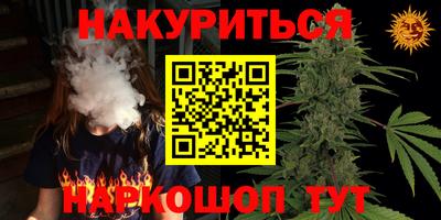 крисы Моздок
