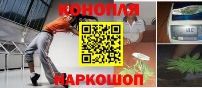 крисы Моздок