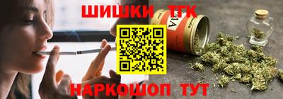 крисы Моздок