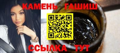 крисы Моздок