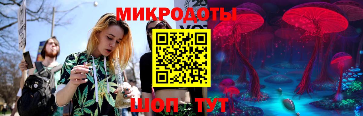 Галлюциногенные грибы Psilocybine cubensis  что такое   Татарск  Вход с VPN 